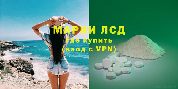 a pvp Бородино