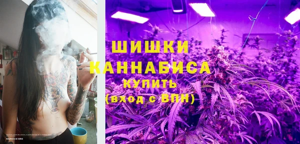 a pvp Бородино