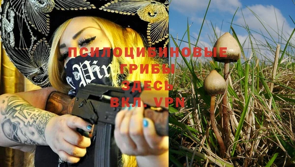 a pvp Бородино