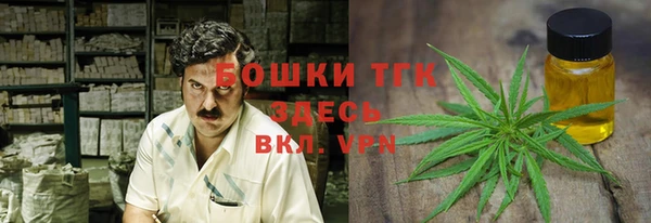 a pvp Бородино